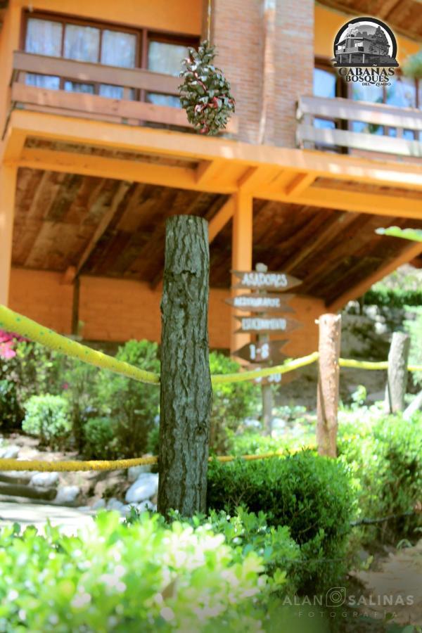 Cabanas Los Bosques Del Zembo Huasca de Ocampo Exterior photo