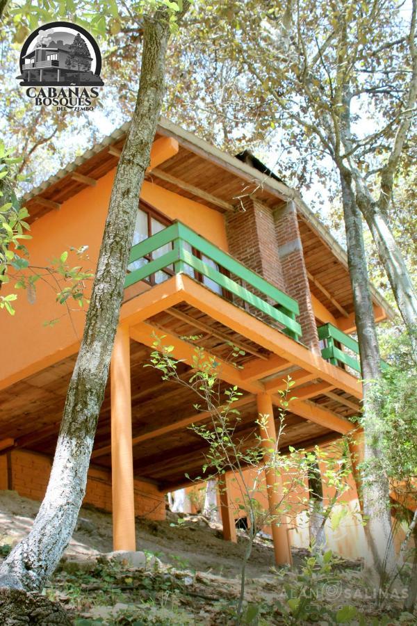 Cabanas Los Bosques Del Zembo Huasca de Ocampo Exterior photo