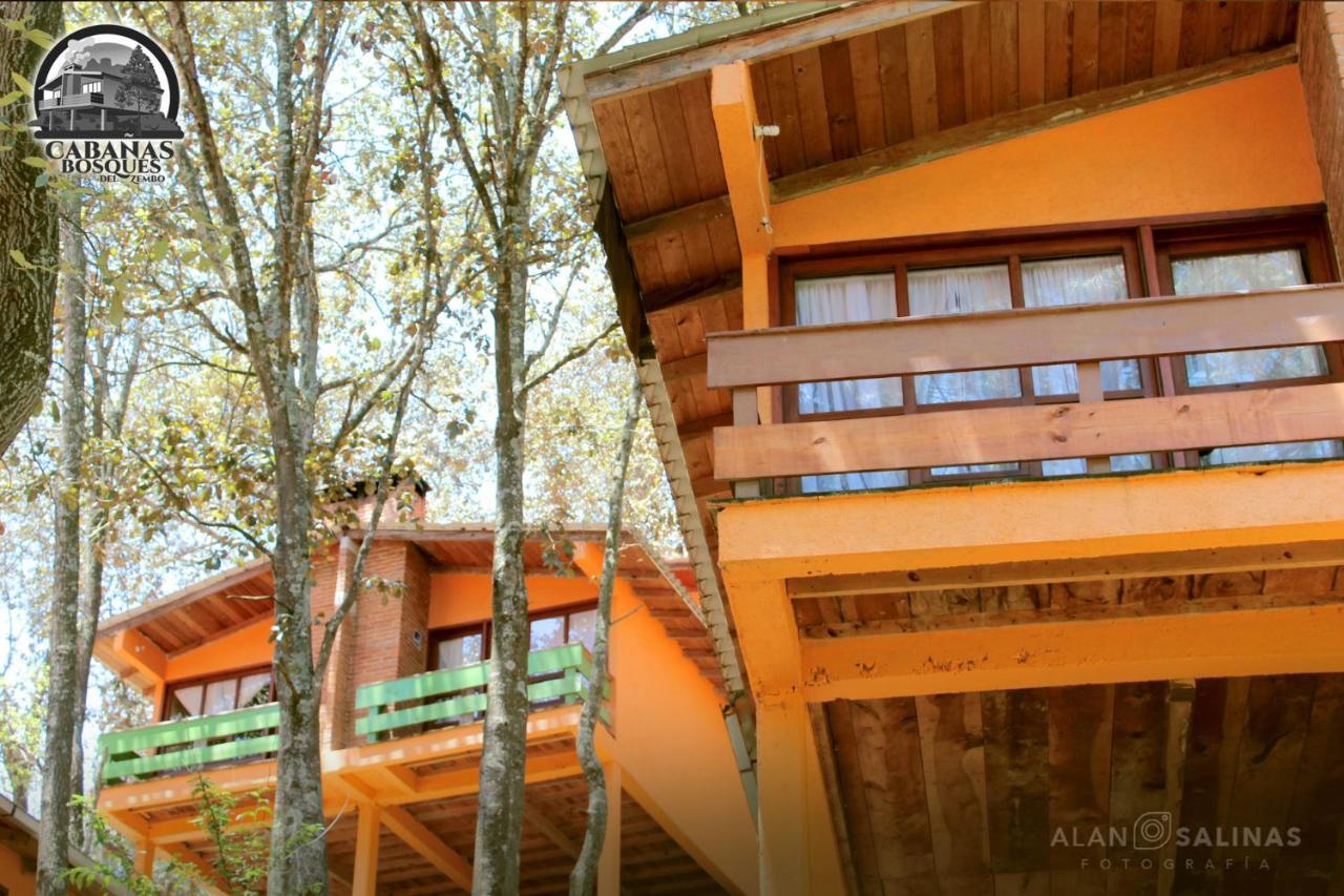 Cabanas Los Bosques Del Zembo Huasca de Ocampo Exterior photo