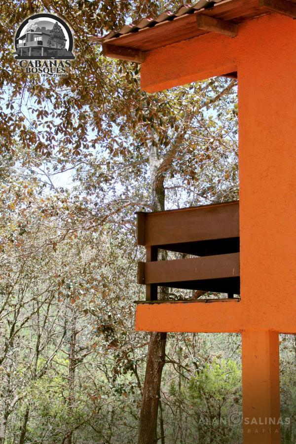 Cabanas Los Bosques Del Zembo Huasca de Ocampo Exterior photo