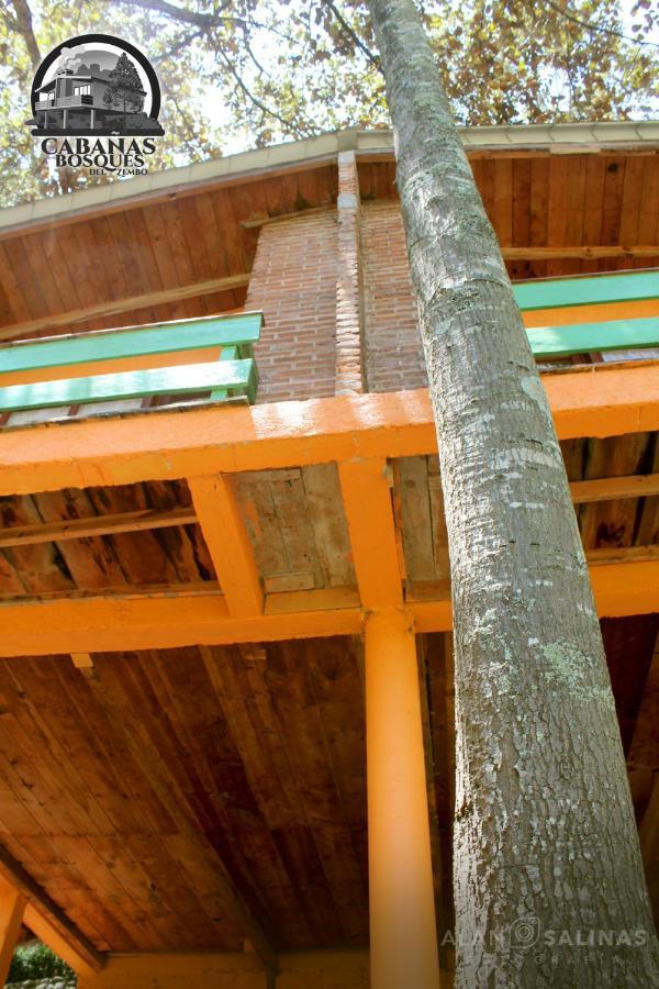 Cabanas Los Bosques Del Zembo Huasca de Ocampo Exterior photo