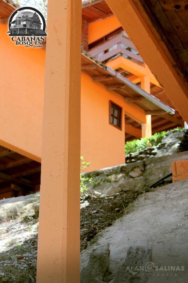 Cabanas Los Bosques Del Zembo Huasca de Ocampo Exterior photo