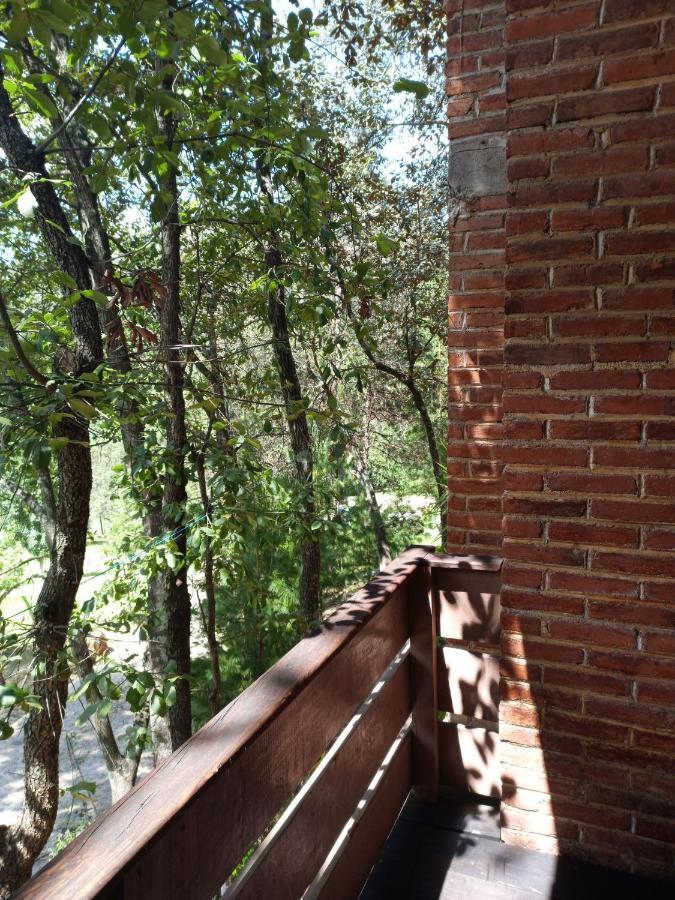 Cabanas Los Bosques Del Zembo Huasca de Ocampo Exterior photo